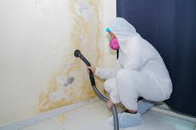 Biohazard Mold Removal in Como, MS